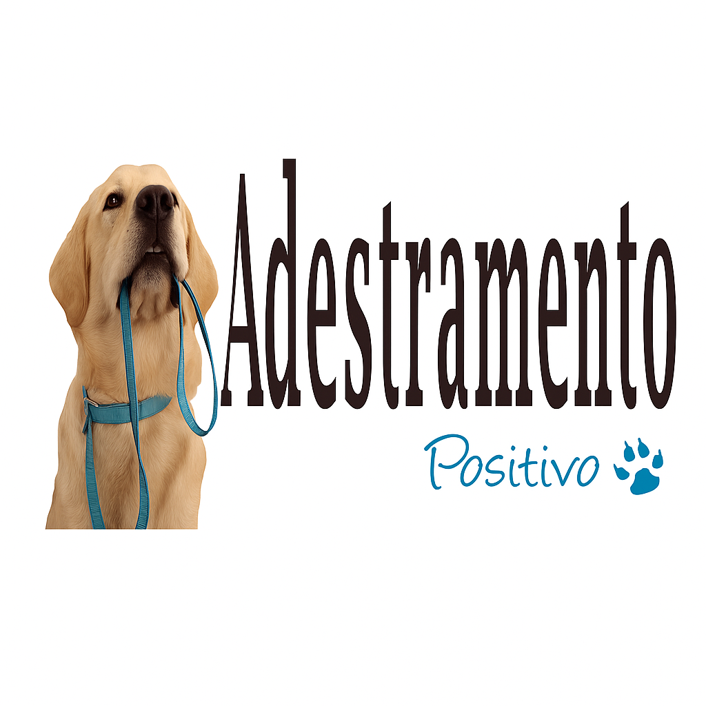 Adestramento de Câes